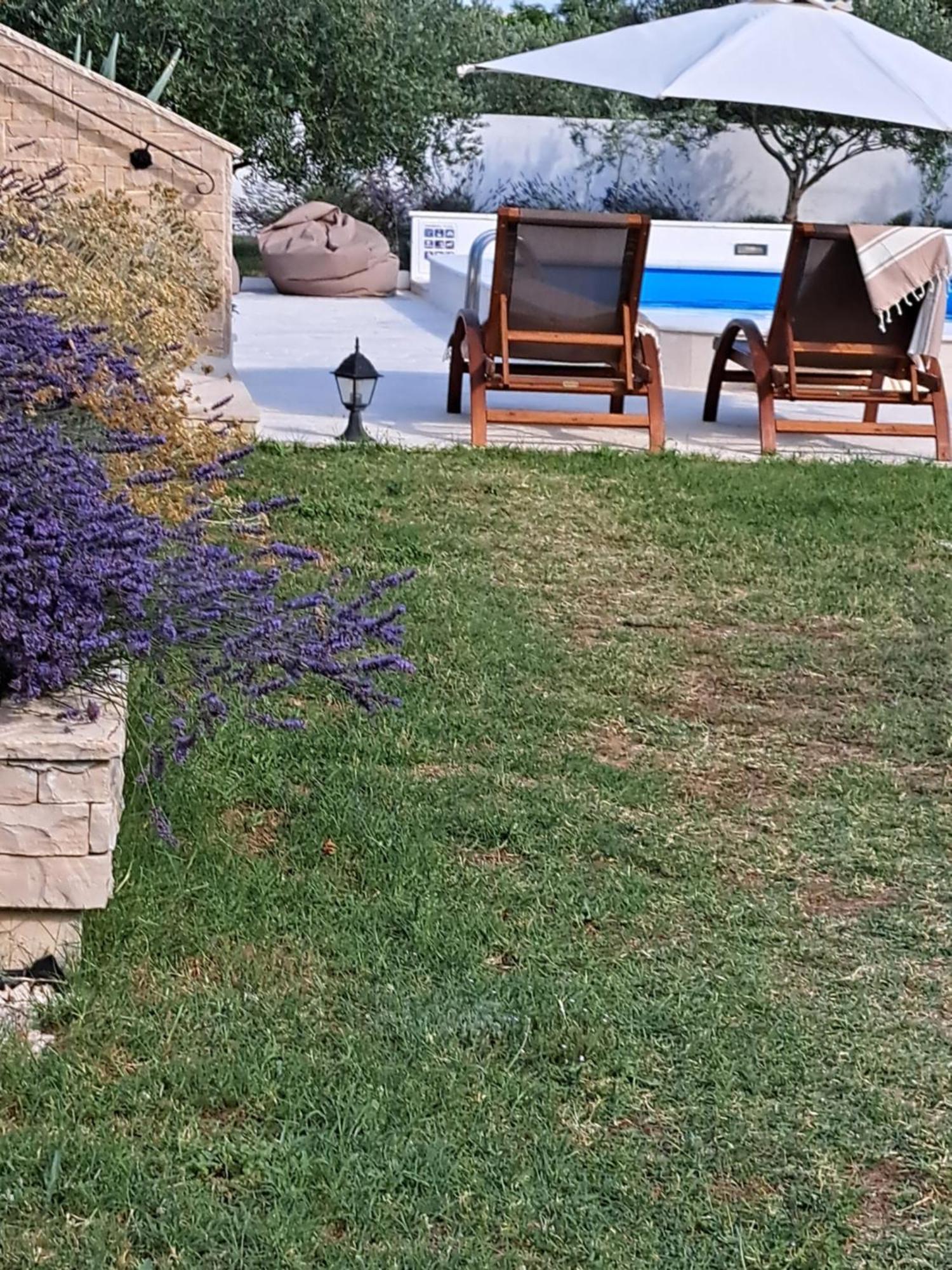 Vila Pan زادار المظهر الخارجي الصورة